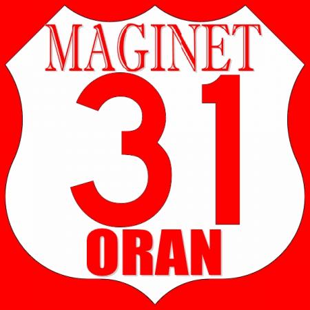 vive cyber maginet